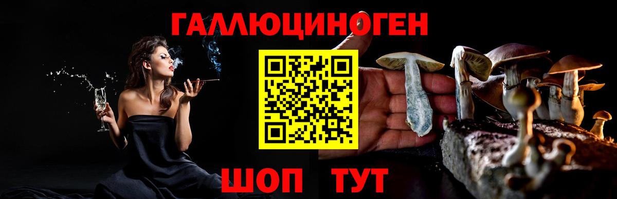 Павлово  Псилоцибиновые грибы мухоморы  цены наркотик  Вход с VPN  Галлюциногенные грибы ЛСД 
